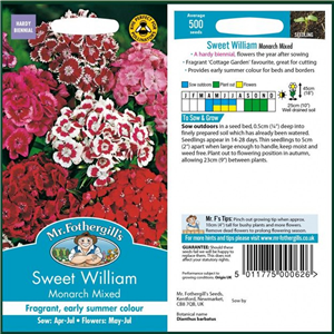 Sweet William Monarch Mixed